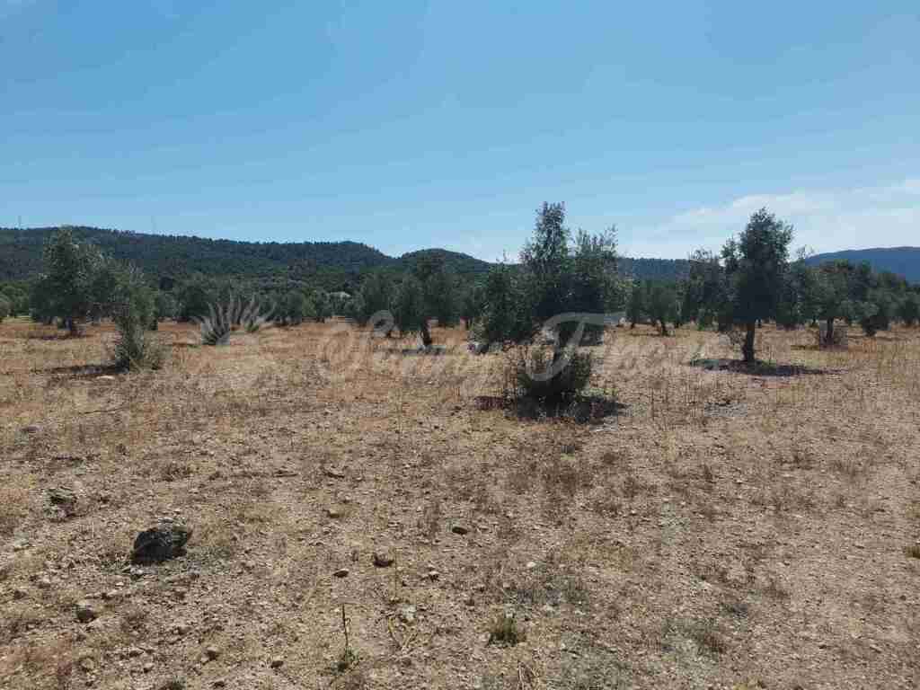 Suelo urbanizable en Venta en Biar Alicante - foto 13