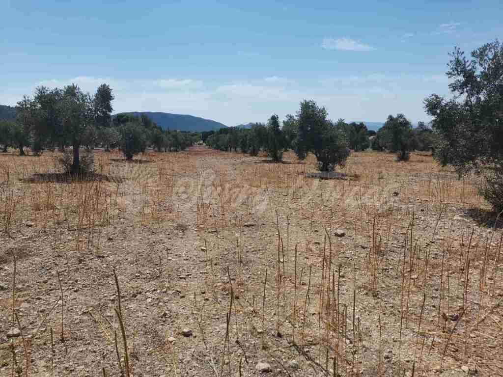 Suelo urbanizable en Venta en Biar Alicante - foto 15