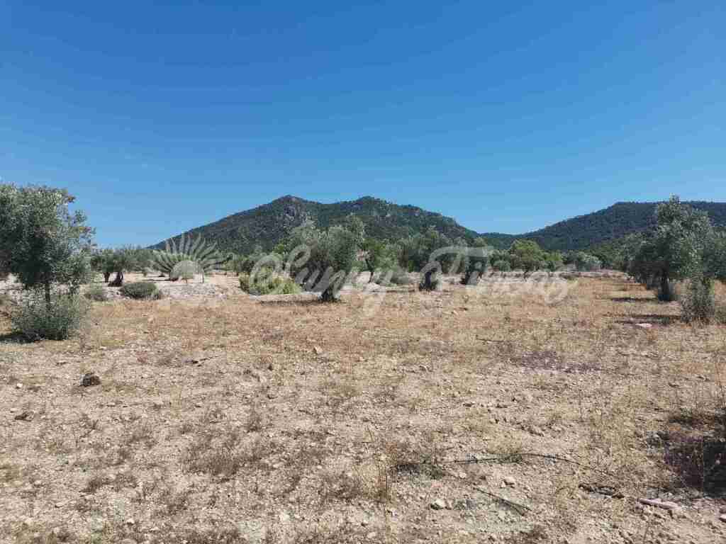 Suelo urbanizable en Venta en Biar Alicante - foto 4