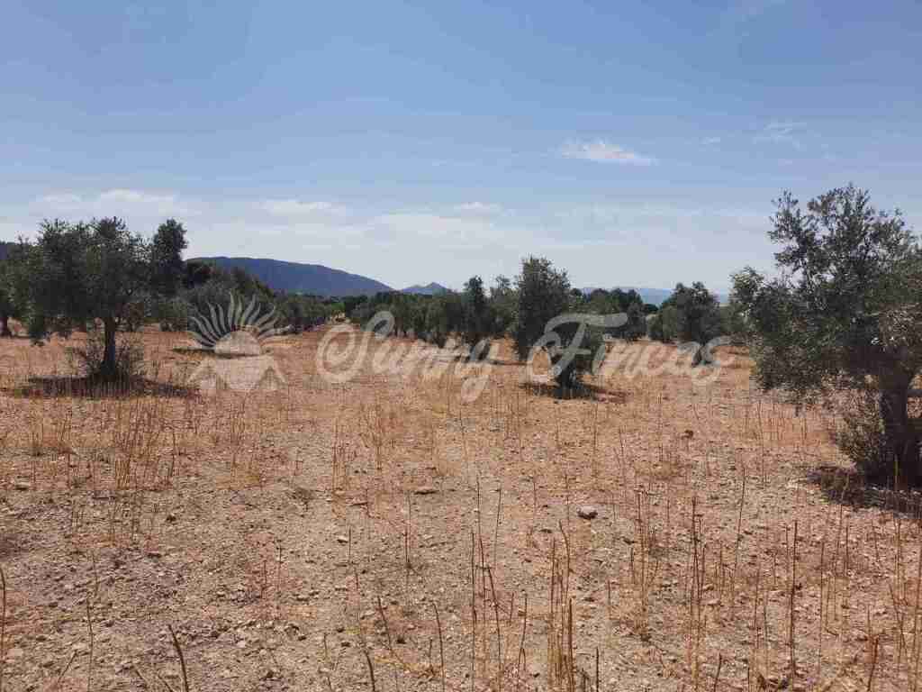 Suelo urbanizable en Venta en Biar Alicante - foto 7