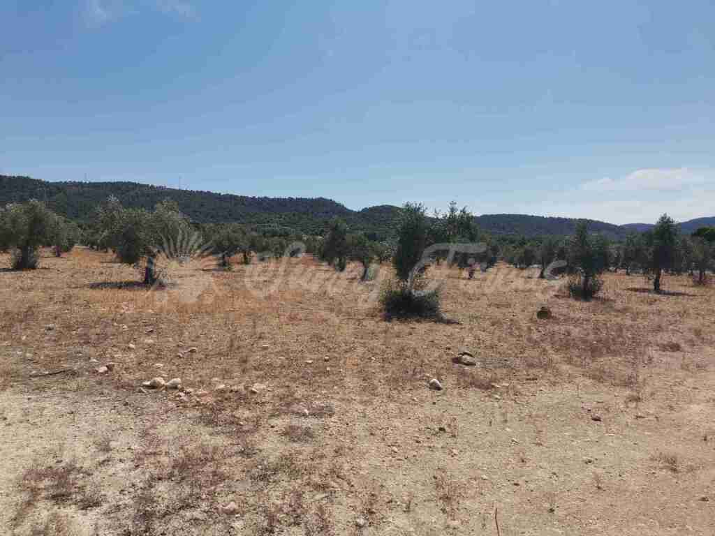Suelo urbanizable en Venta en Biar Alicante - foto 8