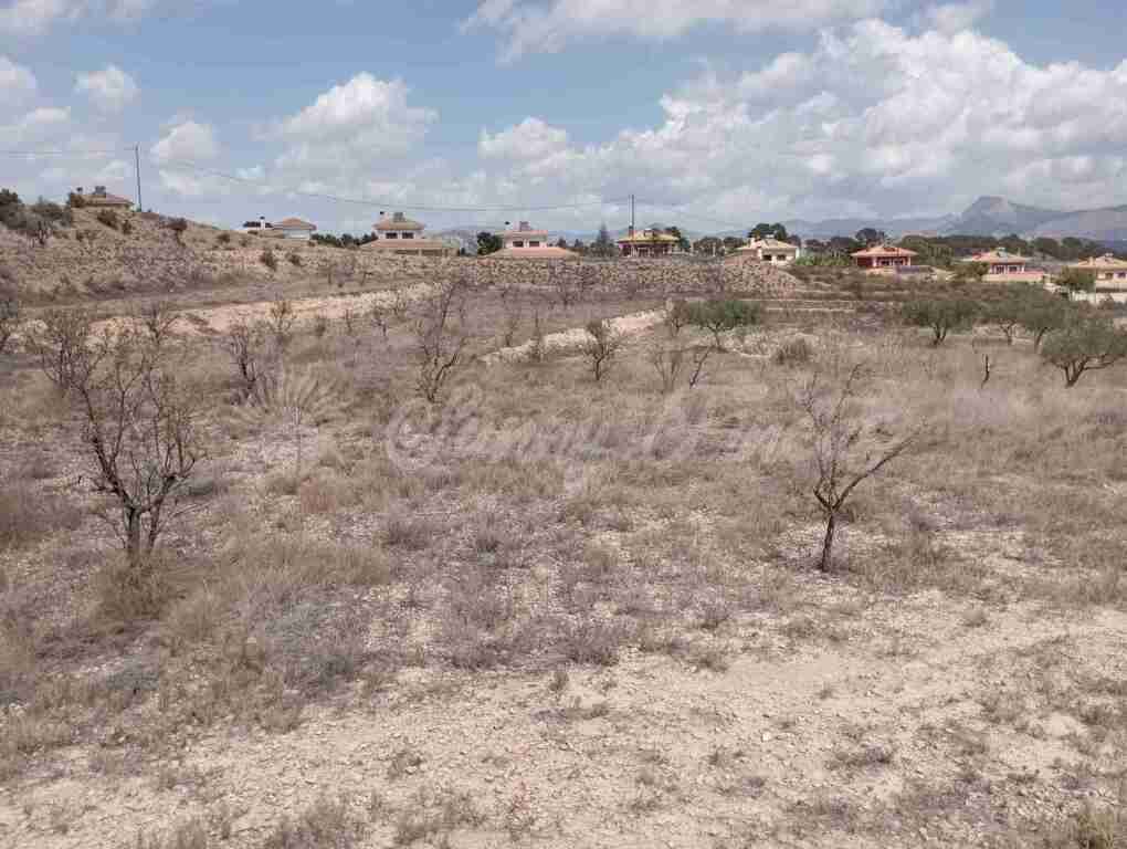 Suelo urbanizable en Venta en Monovar-Monover Alicante
