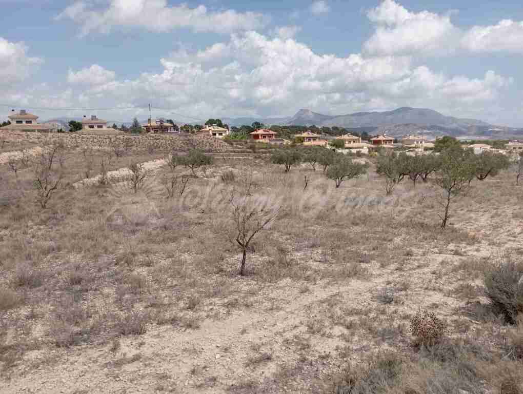 Suelo urbanizable en Venta en Monovar-Monover Alicante - foto 2