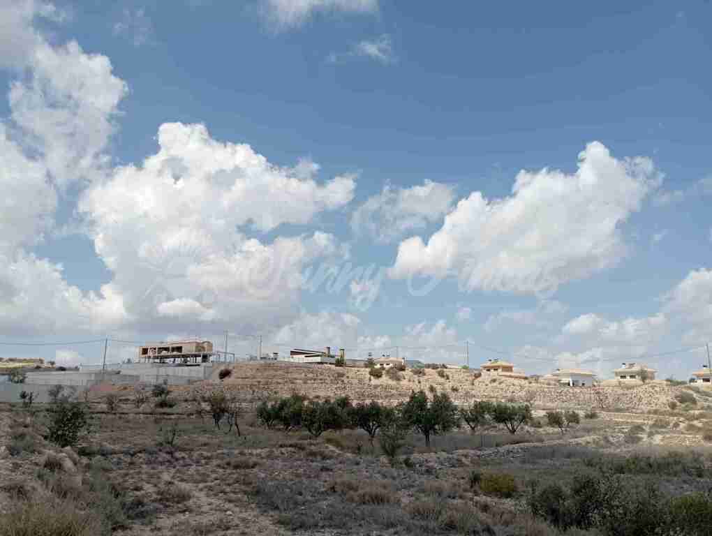 Suelo urbanizable en Venta en Monovar-Monover Alicante - foto 11