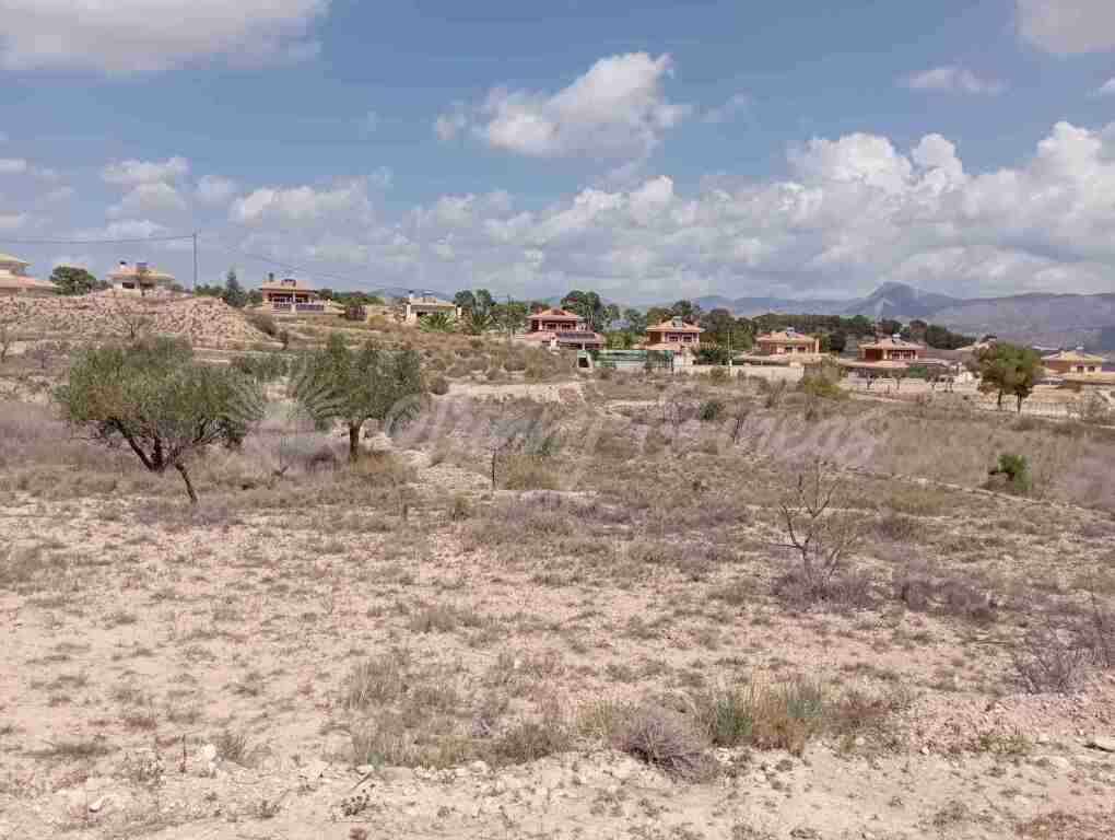 Suelo urbanizable en Venta en Monovar-Monover Alicante - foto 12