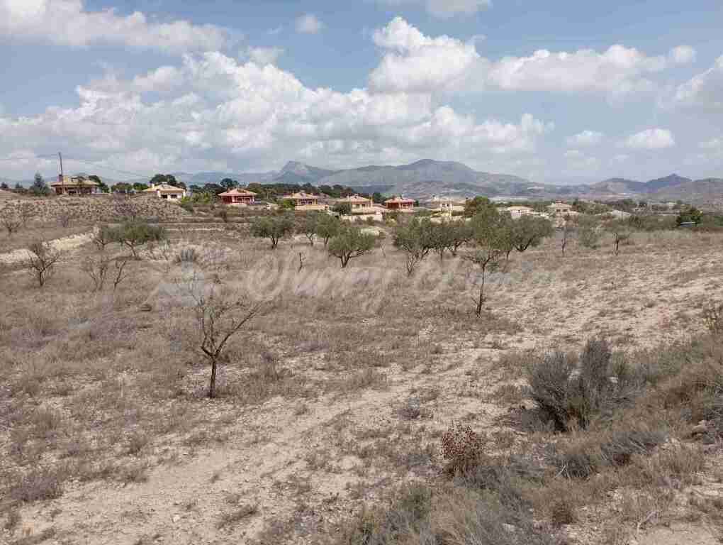 Suelo urbanizable en Venta en Monovar-Monover Alicante - foto 3