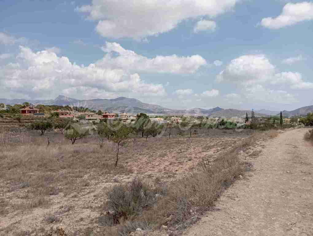 Suelo urbanizable en Venta en Monovar-Monover Alicante - foto 4