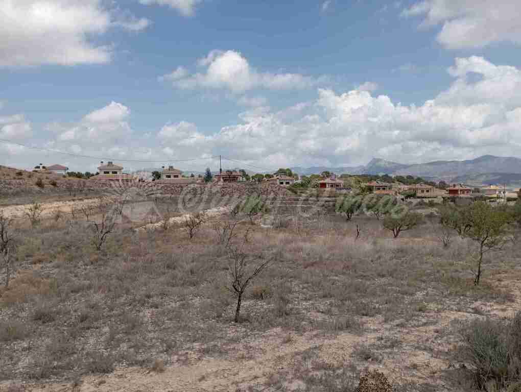 Suelo urbanizable en Venta en Monovar-Monover Alicante - foto 5