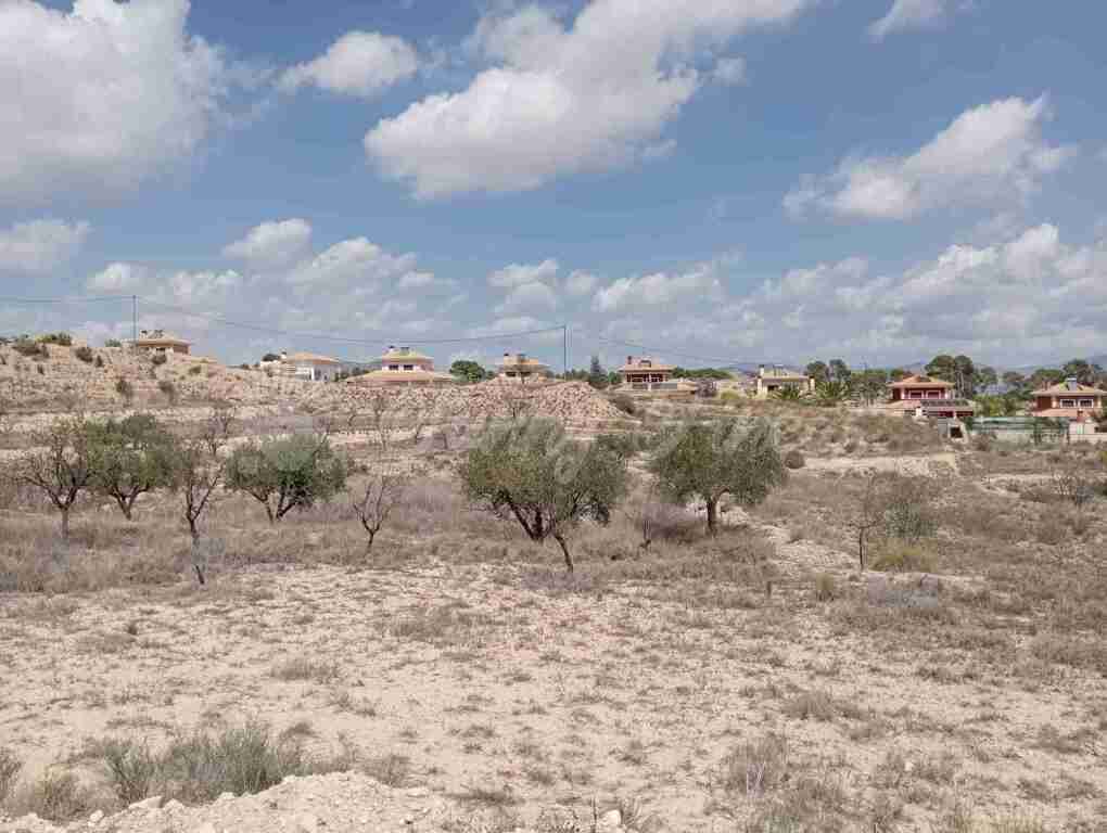 Suelo urbanizable en Venta en Monovar-Monover Alicante - foto 7