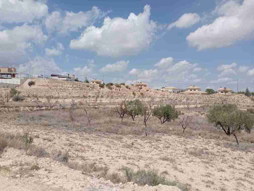 Suelo urbanizable en Venta en Monovar-Monover Alicante - foto 8