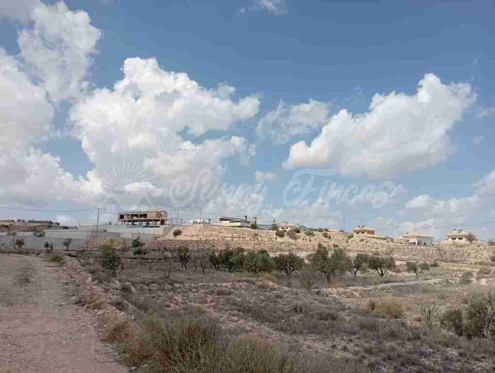 Suelo urbanizable en Venta en Monovar-Monover Alicante - foto 10