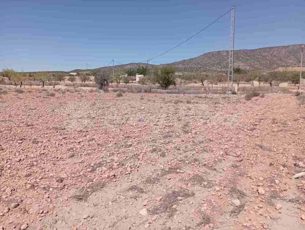 Suelo urbanizable en Venta en Pinoso Alicante - foto 2