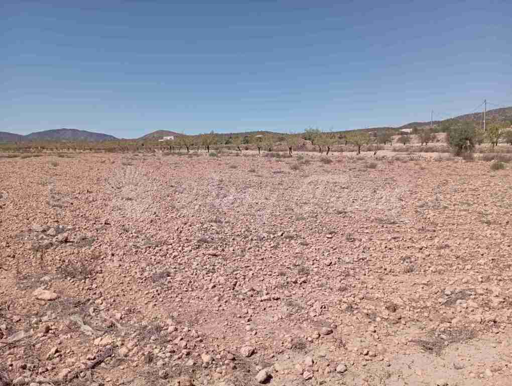 Suelo urbanizable en Venta en Pinoso Alicante - foto 3
