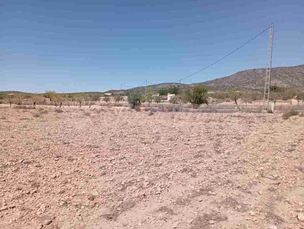 Suelo urbanizable en Venta en Pinoso Alicante - foto 5
