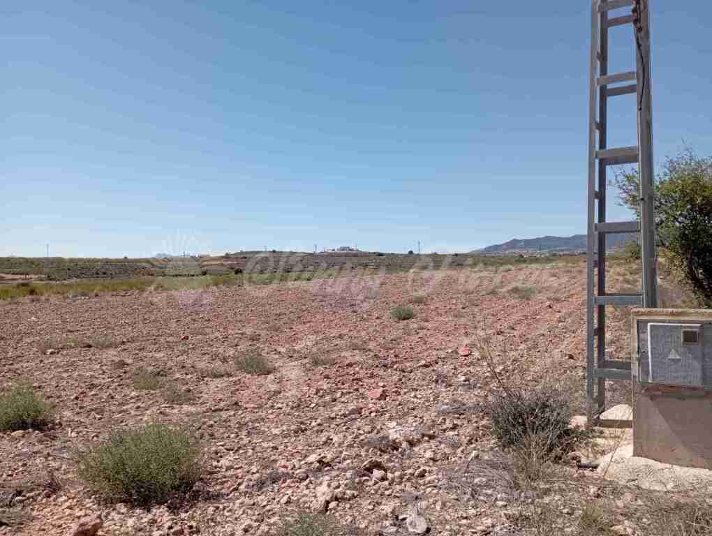 Suelo urbanizable en Venta en Pinoso Alicante - foto 7