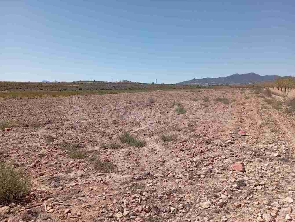 Suelo urbanizable en Venta en Pinoso Alicante - foto 8