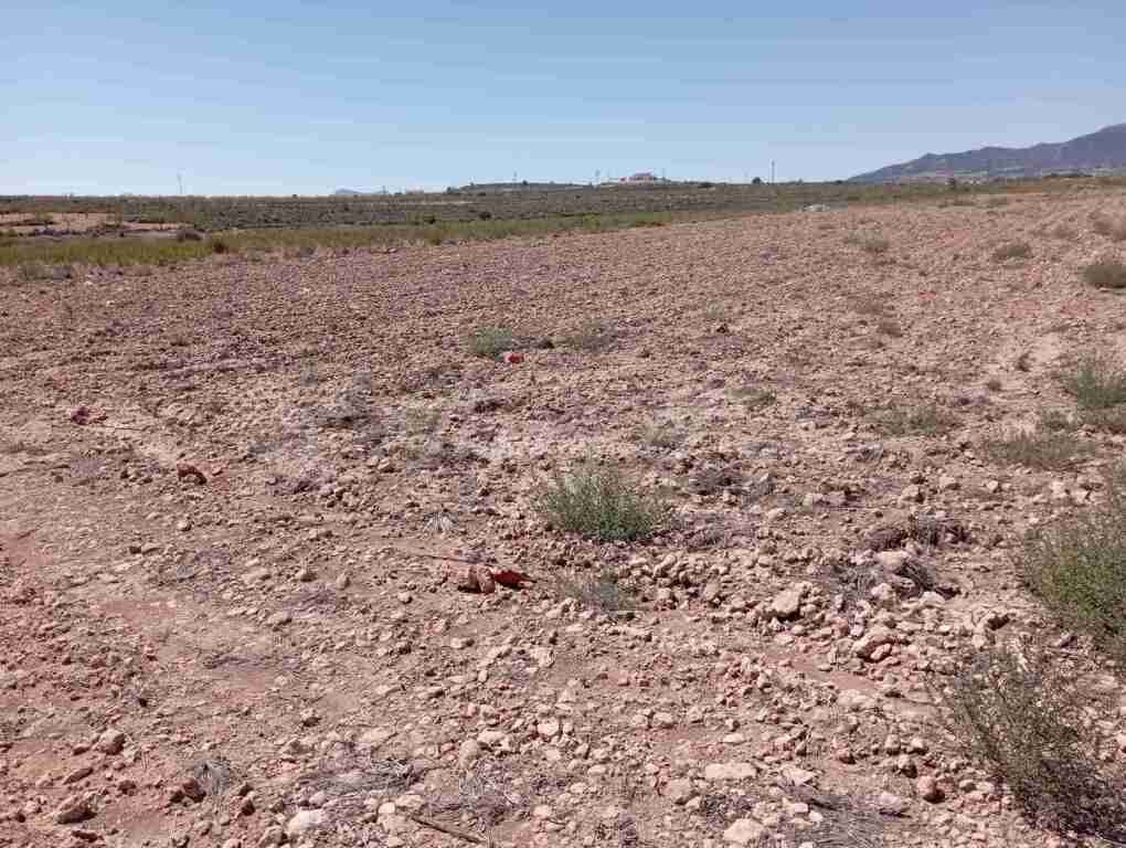 Suelo urbanizable en Venta en Pinoso Alicante - foto 9