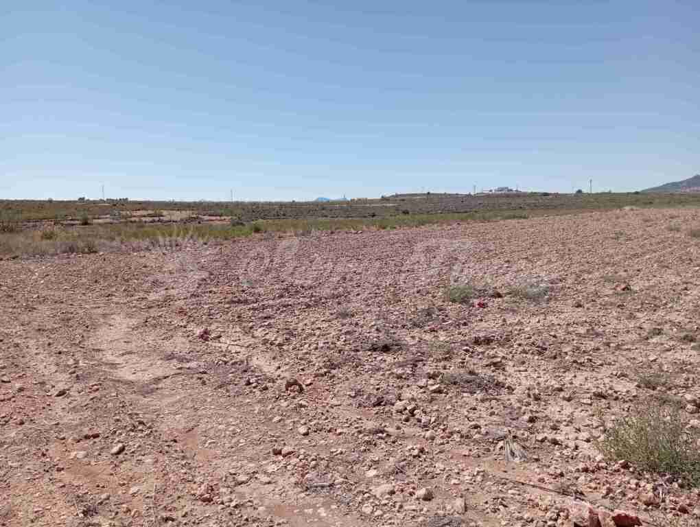 Suelo urbanizable en Venta en Pinoso Alicante - foto 10