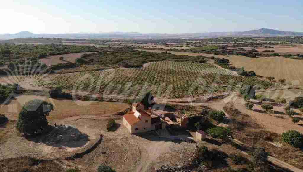 Casa-Chalet en Venta en Almansa Albacete - foto 3