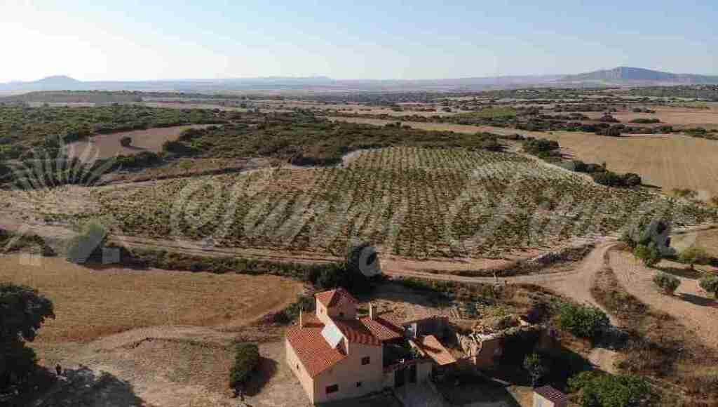Casa-Chalet en Venta en Almansa Albacete - foto 4