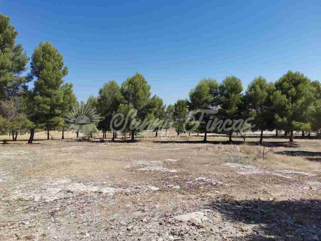 Casa de campo-Masía en Venta en Beneixama Alicante - foto 18