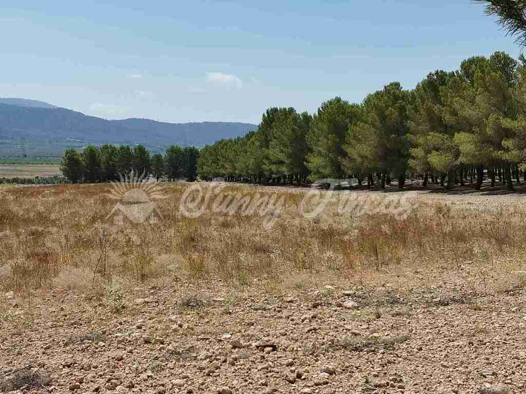 Casa de campo-Masía en Venta en Beneixama Alicante - foto 26