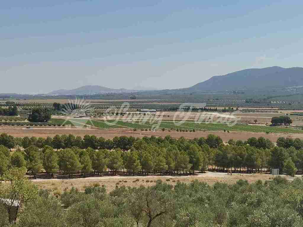 Casa de campo-Masía en Venta en Beneixama Alicante - foto 29