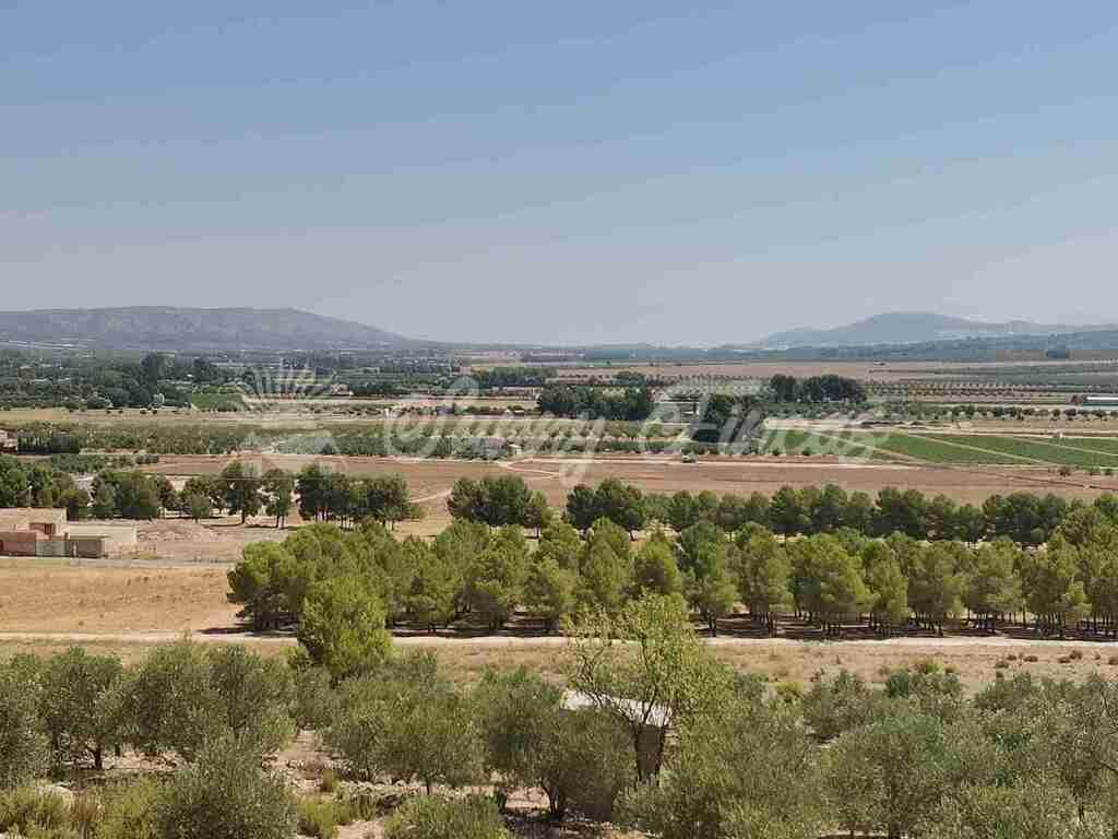 Casa de campo-Masía en Venta en Beneixama Alicante - foto 30