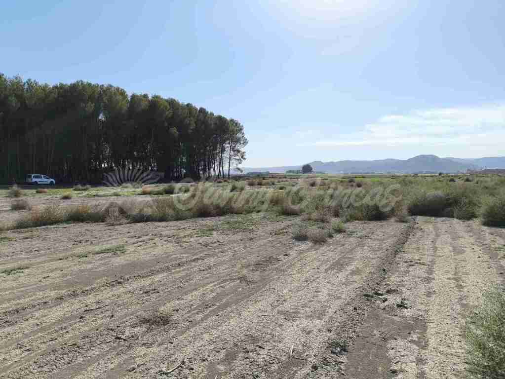 Suelo urbanizable en Venta en Villena Alicante - foto 12