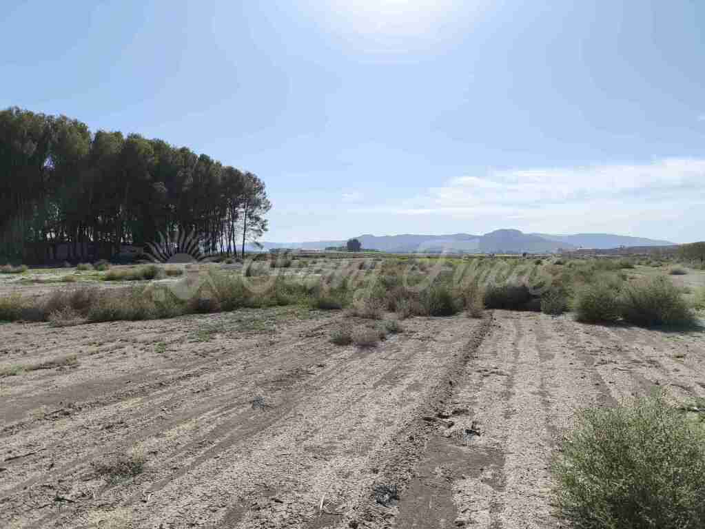 Suelo urbanizable en Venta en Villena Alicante - foto 3