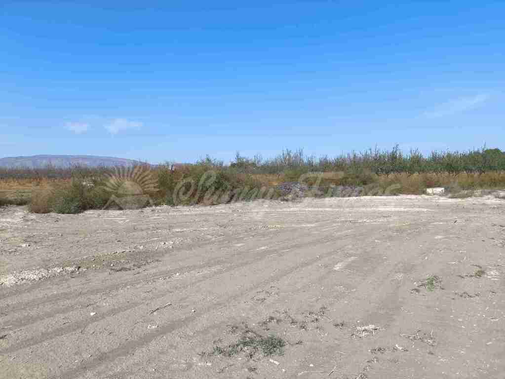 Suelo urbanizable en Venta en Villena Alicante - foto 4
