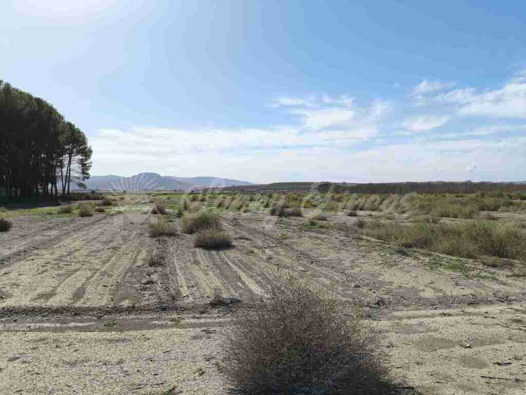 Suelo urbanizable en Venta en Villena Alicante - foto 6
