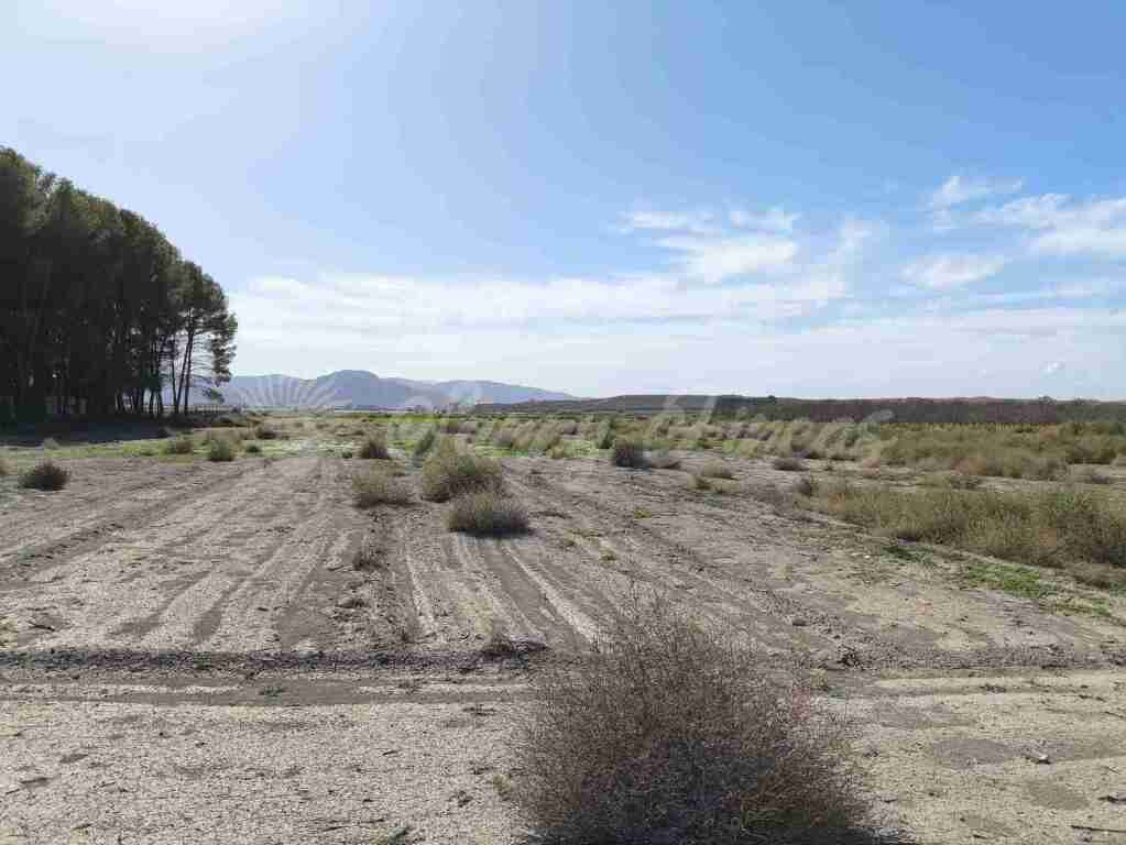 Suelo urbanizable en Venta en Villena Alicante - foto 7