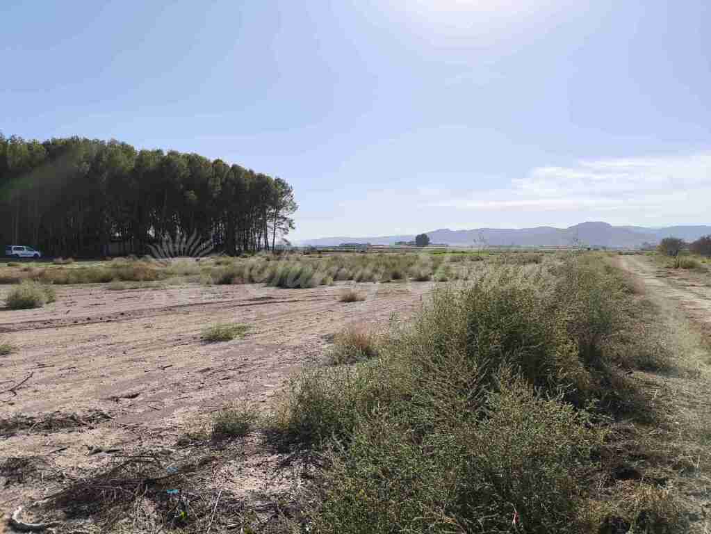 Suelo urbanizable en Venta en Villena Alicante - foto 10