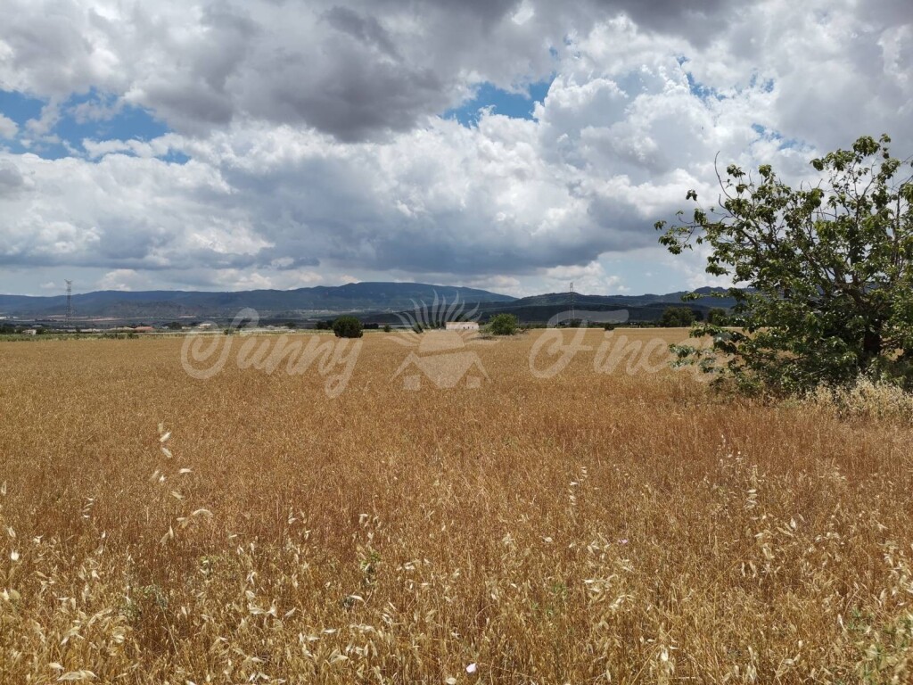Suelo rústico en Venta en Yecla Murcia