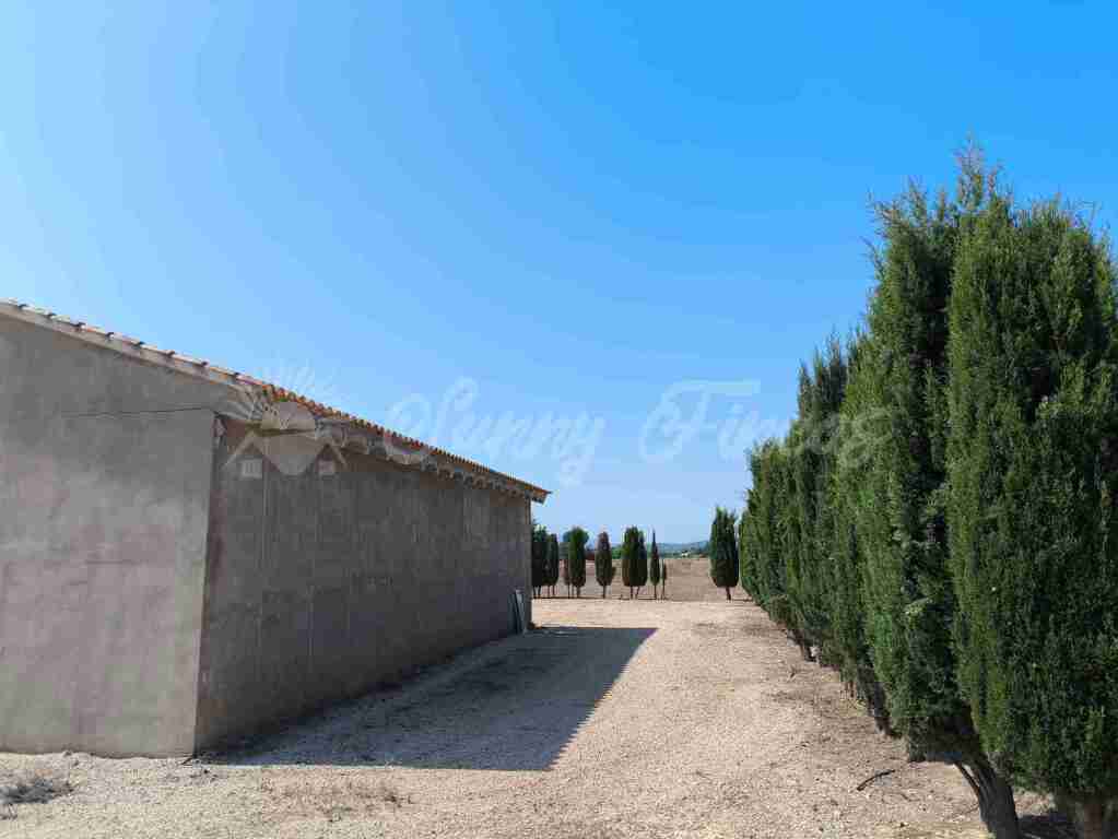 Casa de campo-Masía en Venta en Caudete Albacete - foto 2