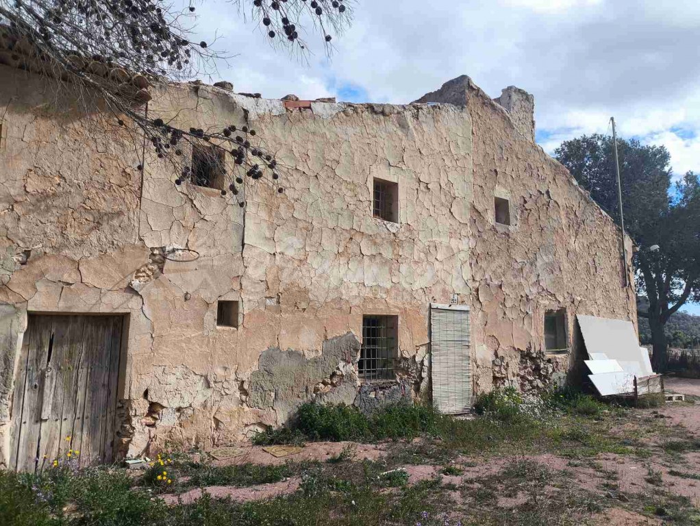 Casa de campo-Masía en Venta en Romana, La Alicante - foto 4