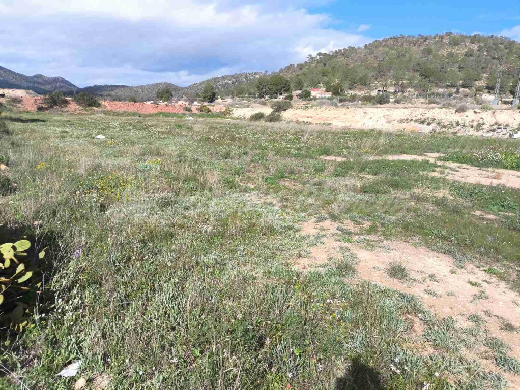 Casa de campo-Masía en Venta en Romana, La Alicante - foto 38