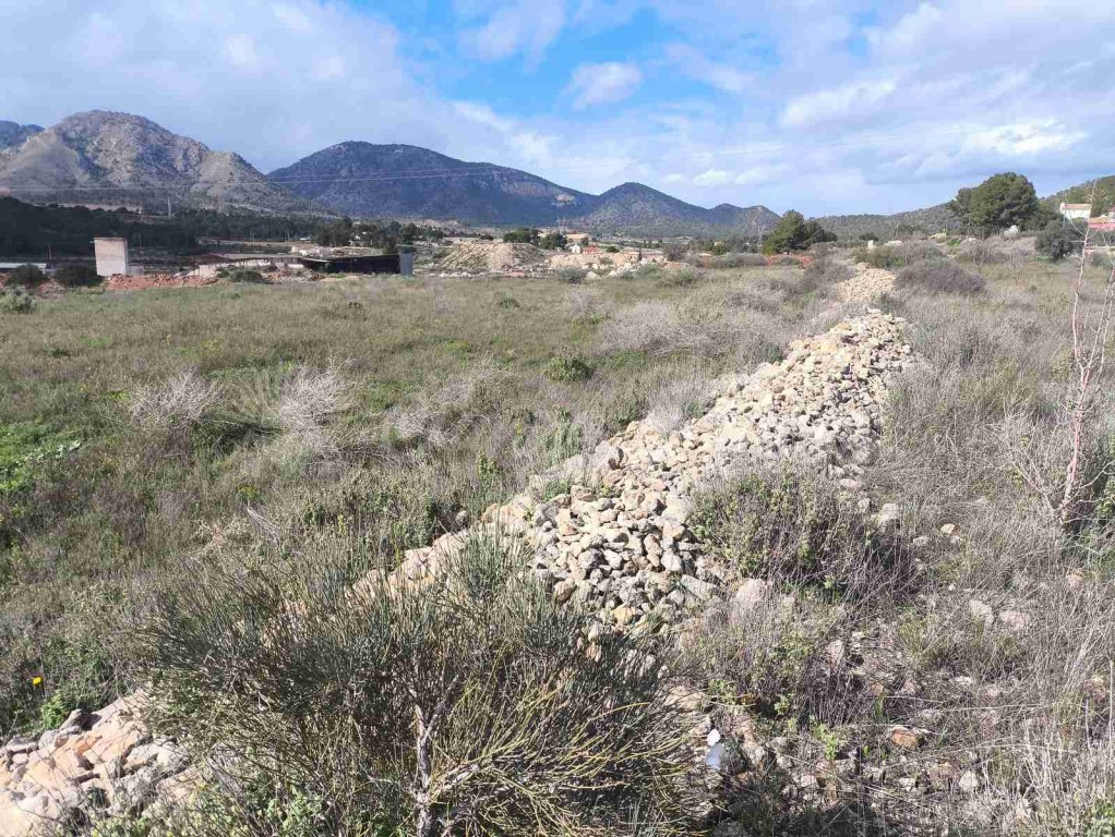 Casa de campo-Masía en Venta en Romana, La Alicante - foto 39
