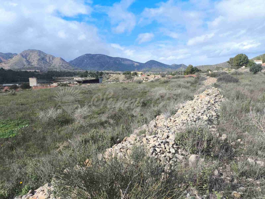 Casa de campo-Masía en Venta en Romana, La Alicante - foto 40