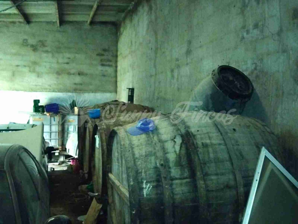 Casa de pueblo en Venta en Pinoso Alicante - foto 21