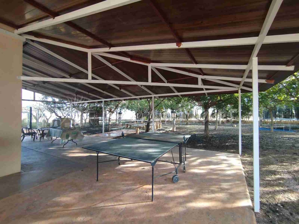 Casa-Chalet en Venta en Romana, La Alicante - foto 16