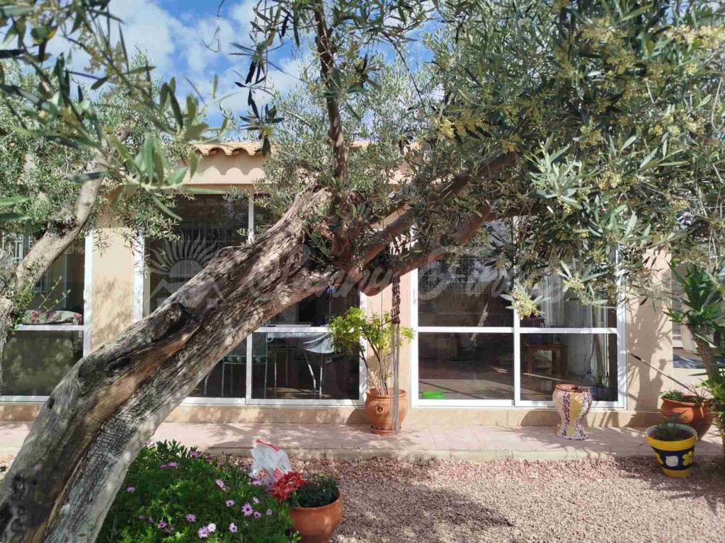 Casa-Chalet en Venta en Alcana Alicante - foto 3