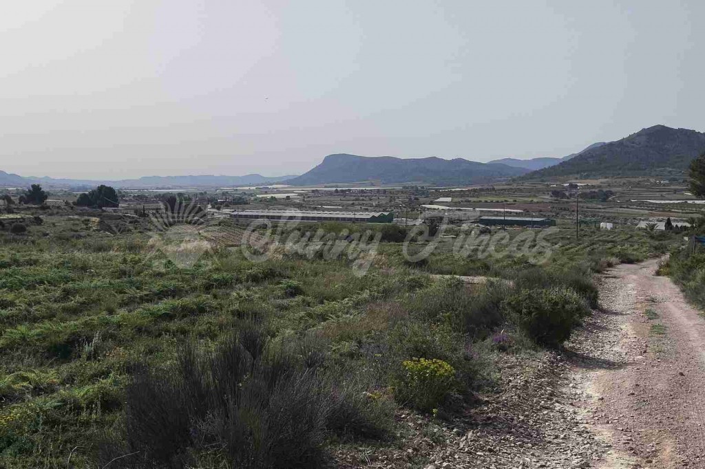 Suelo rústico en Venta en Romana, La Alicante - foto 10
