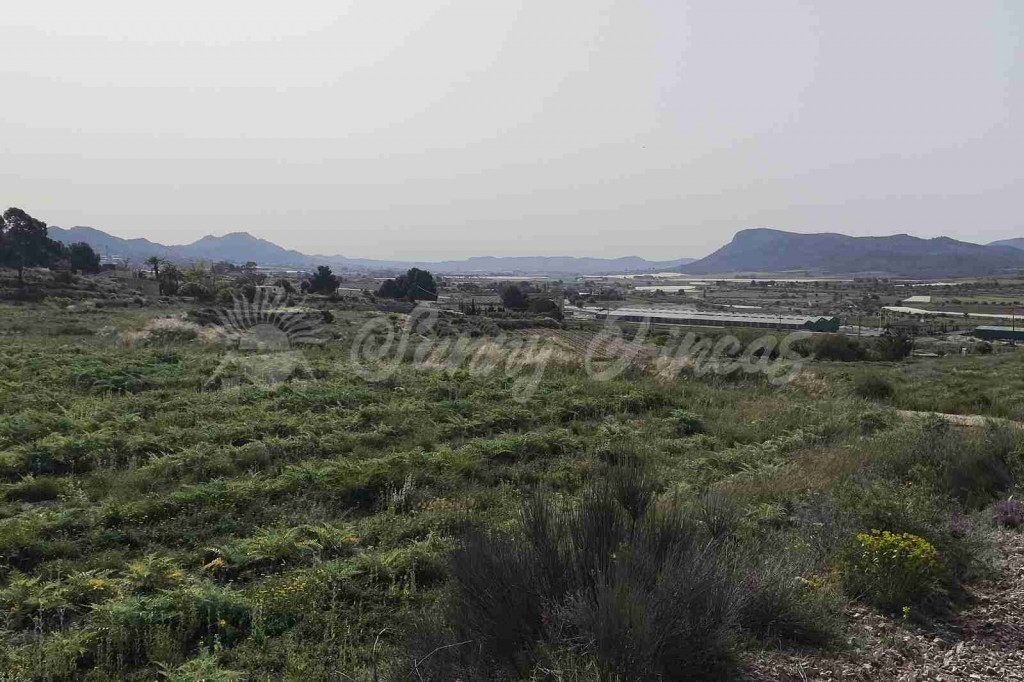 Parcela en Venta en Romana, La Alicante - foto 3