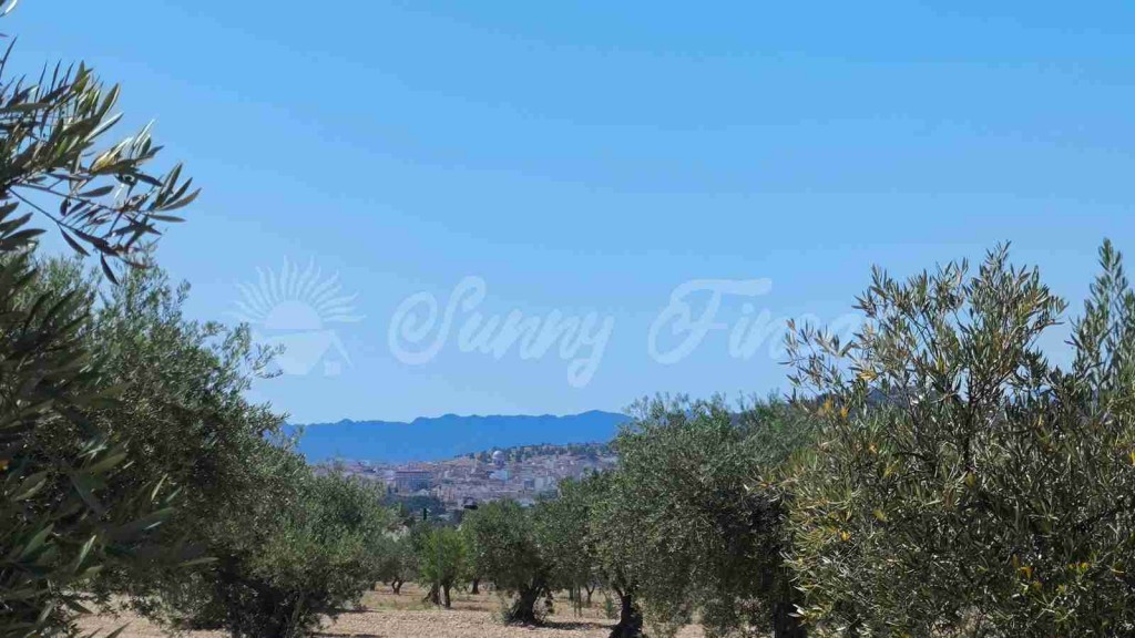 Suelo urbanizable en Venta en Yecla Murcia