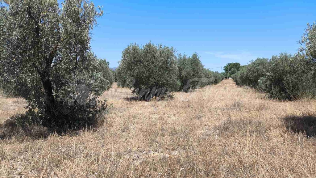 Suelo urbanizable en Venta en Yecla Murcia - foto 4