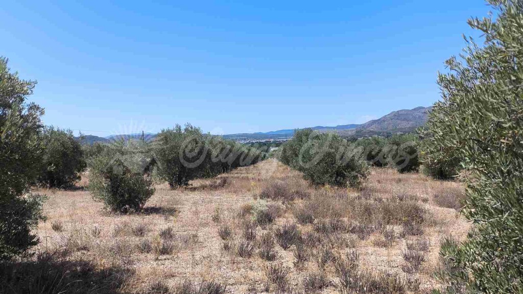Suelo urbanizable en Venta en Yecla Murcia - foto 8