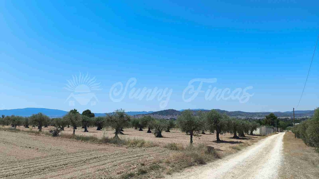 Suelo urbanizable en Venta en Yecla Murcia - foto 9