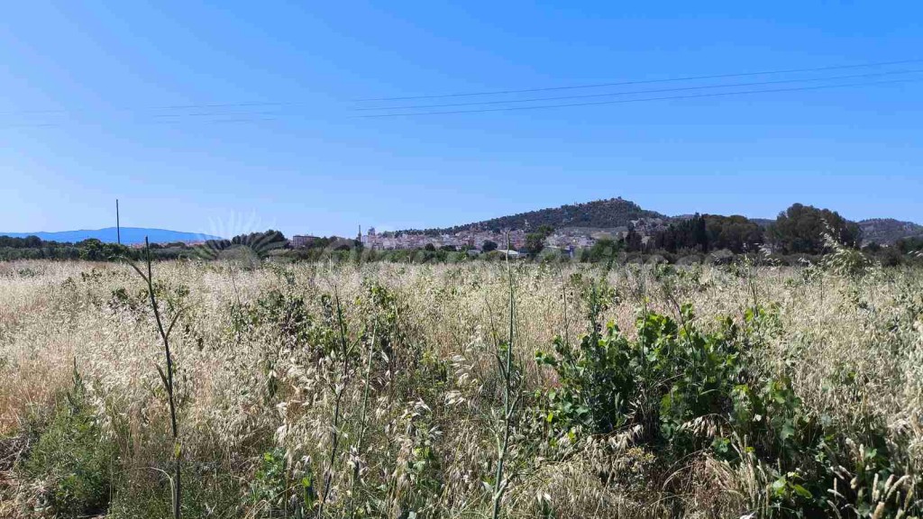 Suelo urbanizable en Venta en Yecla Murcia